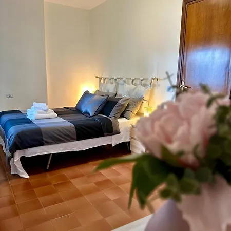 La Casa Nostra * Pisa